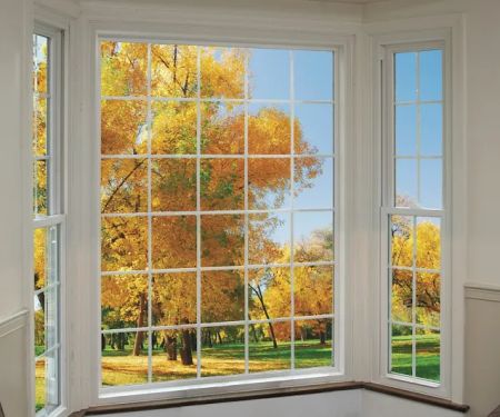 Champion Replacement Windows of Macon