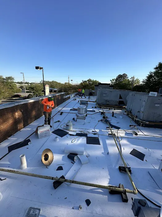 Eagle Eye Roofing Picture 3