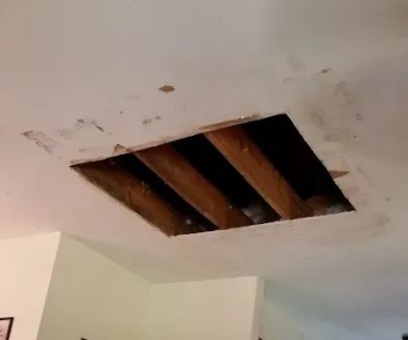 Apple Roofing and Construction AKA Lighthouse Home and Land Sales Inc