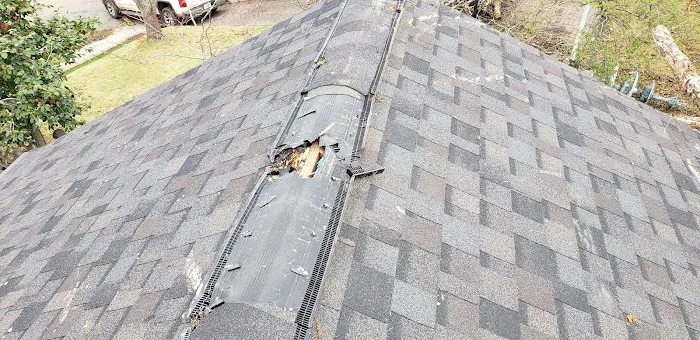Roof-Tastic & Beyond Exteriors Picture 8
