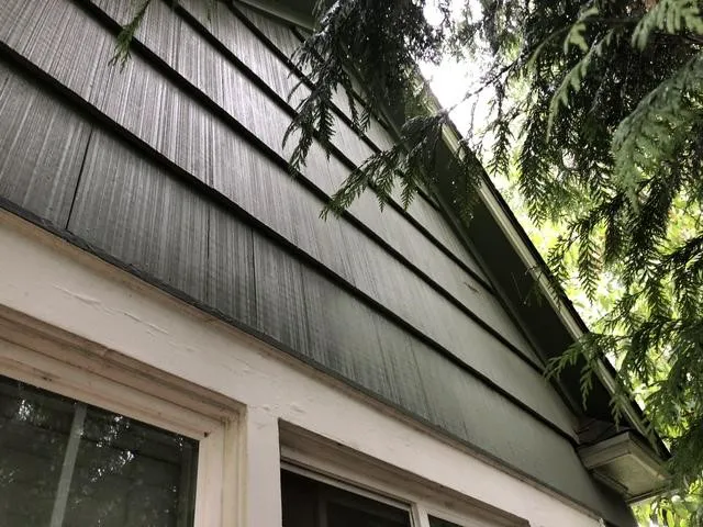 Pacific Exteriors LLC Picture 9
