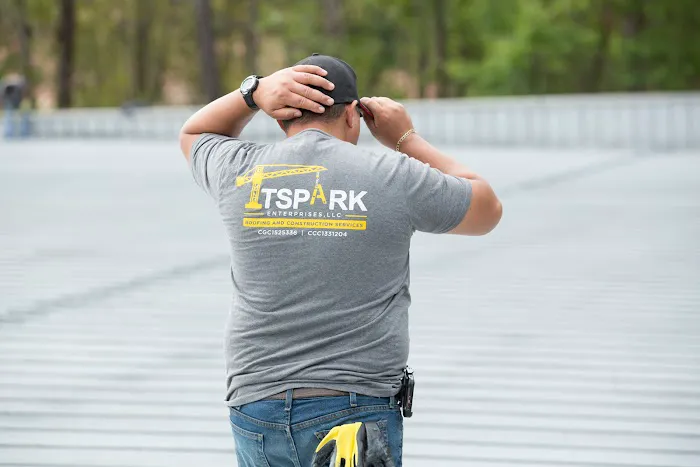 TSpark Enterprises Picture 6