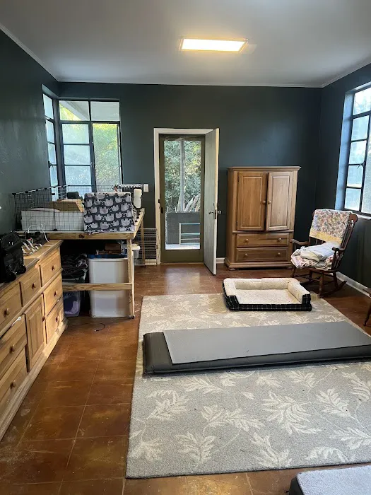 TLC Painting & Renovations Picture 8