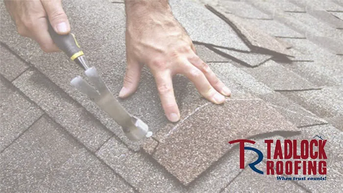 Tadlock Roofing Picture 1