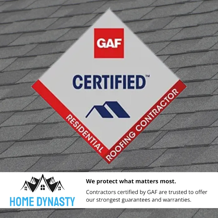 Home Dynasty Picture 9