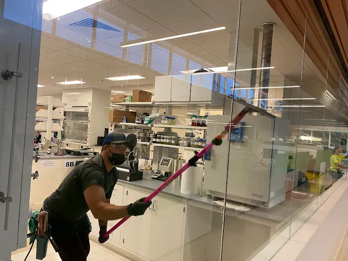 Royal Glass Restoration Picture 2