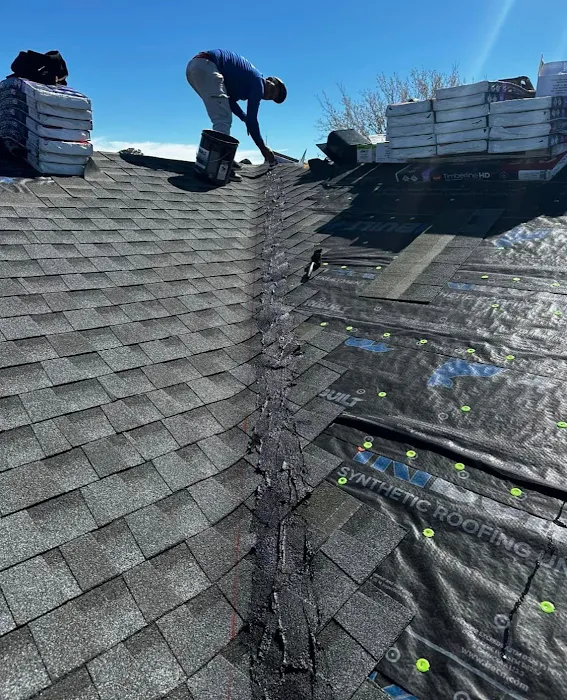 Platinum Roofing and Exteriors Ocala Picture 10