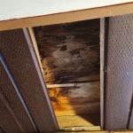 Duffield Home Improvements