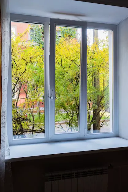 Window Replacement Gainesville Picture 1