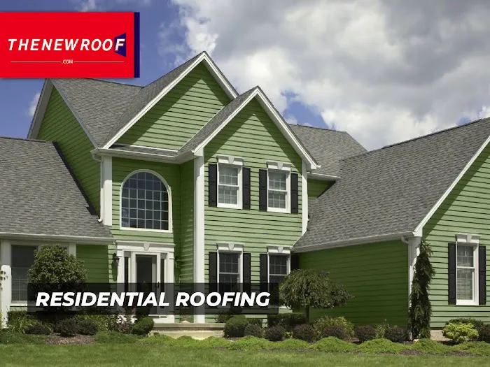 The New Roof Picture 7