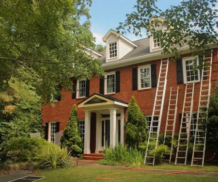 Nelson Exteriors