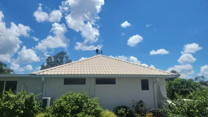 Coastal Roofing Solutions Picture 1