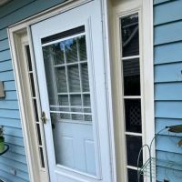 Ron Handyman ico