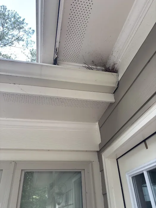 Gutter Solutions Picture 2