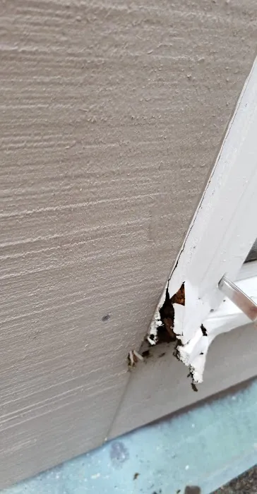 Roofing and Wood Repairs Picture 9