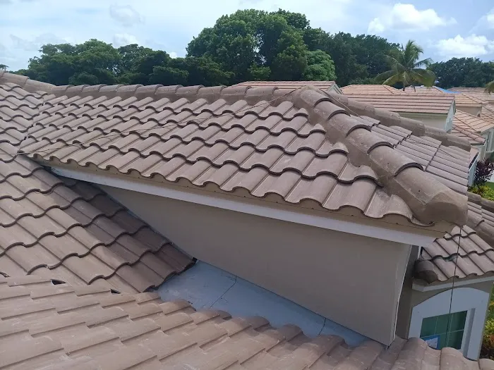 Bold City Roofing and Solar Picture 1