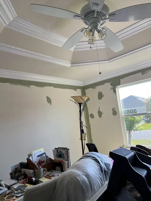 SAEL PAINTING,LLC Picture 6