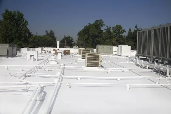 Pro Coast Roofing Picture 3