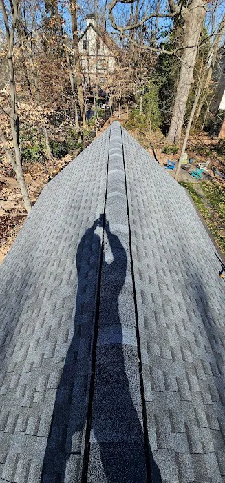 Mag selva Roofing, Gutters, Siding Picture 4