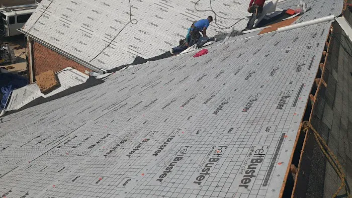 Dr. Roof Picture 4