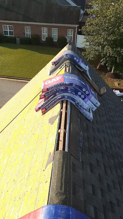 Dr. Roof Picture 8