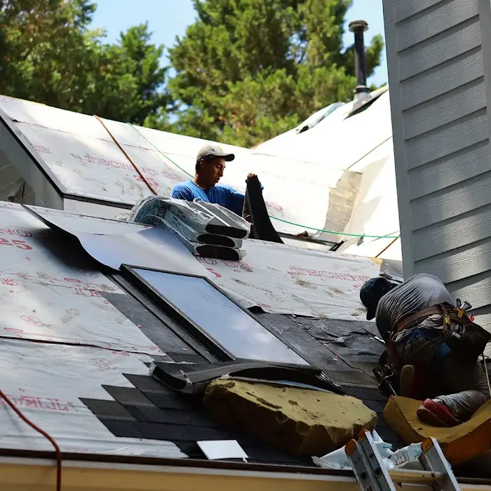 The Roof Gallery Picture 8