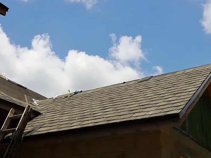 The Roof Gallery Picture 9