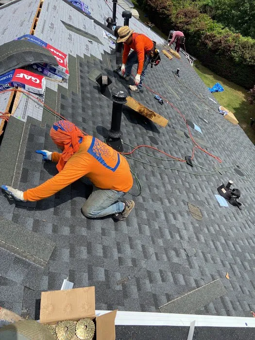Dr. Roof Picture 9