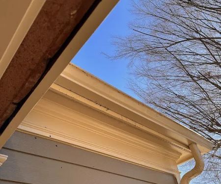 Shelter Guard Roofing and Gutters