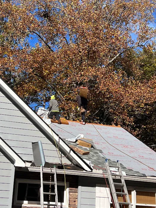Shelter Guard Roofing and Gutters Picture 4
