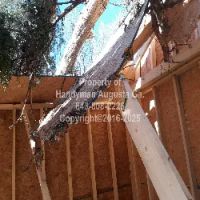 Handyman Augusta Ga building since 1980 ico