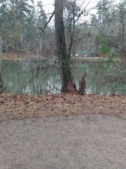 Augusta Remodeling & Construction Picture 1
