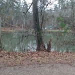 Augusta Remodeling & Construction