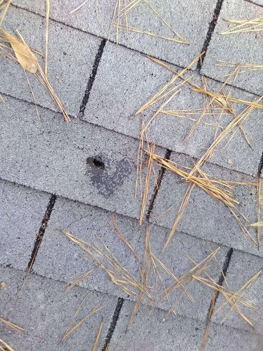 Sergio's Roofing LLC Picture 7