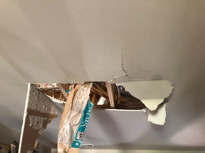 Ram Roof Repair and Renovation Picture 4