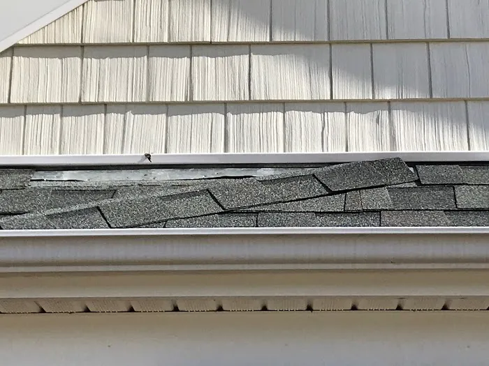 Horizon Roofing Picture 4