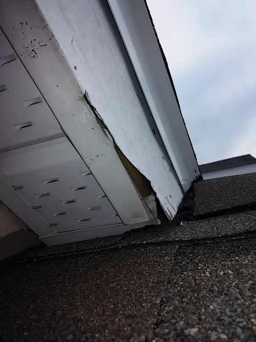 The Roof Depot, LLC Picture 3