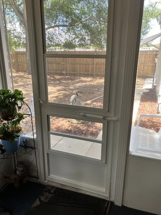 White Aluminum and Windows Picture 4