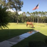 J's Painting Perfection LLC ico