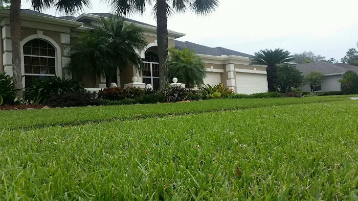 Professional Sunshine Roofing Picture 6
