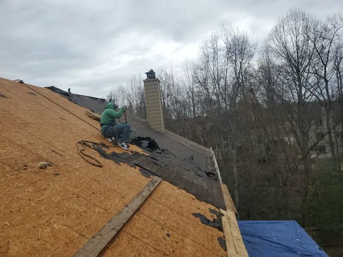 Dr. Roof Picture 2