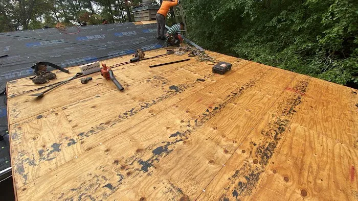 Dr. Roof Picture 10