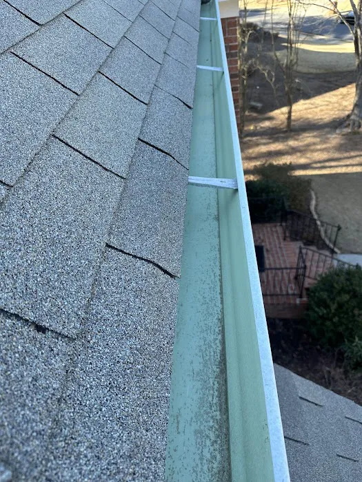 Gutter Bro Picture 2