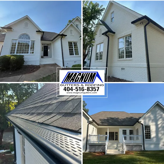 Magnum Gutters & Metal Roofing LLC Picture 3