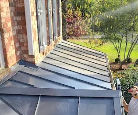 Gutter Cleaning and More