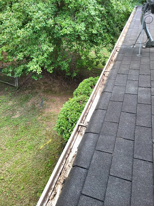 Gutter Cleaning and More Picture 2