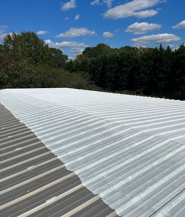 Rob the Roofer Picture 3