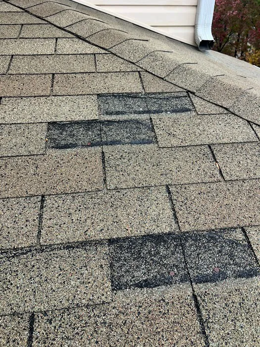 Rob the Roofer Picture 6