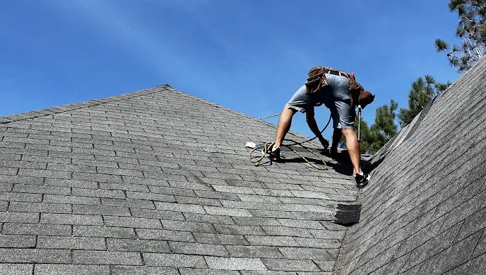Rob the Roofer Picture 5