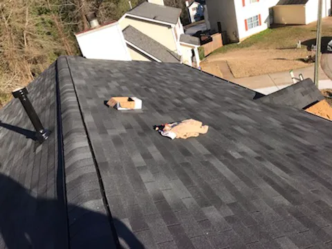 Beyond Remodeling Services inc Picture 10